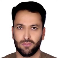Habib Hemat