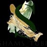 Shams Tube