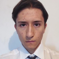 Emiliano Becerril Salgado