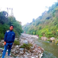 Nishant Paliwal