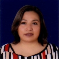 Vilema Mollo Mendoza