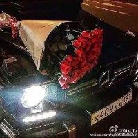 董贤昊