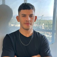 VINICIUS ALVES DOS SANTOS MENDES