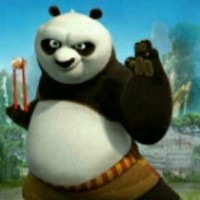 黄鹤松