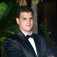Waleed Eldaly