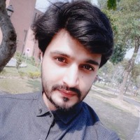 Amir Hameed