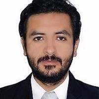 FELIPE ALARCON VASQUEZ