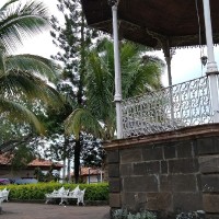 Miguel Angel Luna Acosta