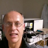 Ferran Ureña i Begara