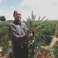 Abdulhameed Alkurjj