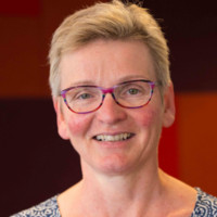 Petri Van Delst