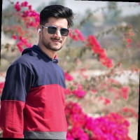 G R Raman Mishra