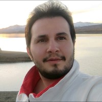 Sayed Alireza Mani