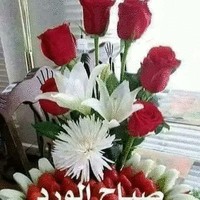 فهد الخليج