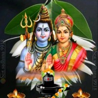 Rajan Kumar Rathour