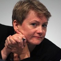 Fawn Rapp