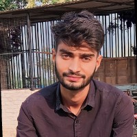 Neeraj Kumar Meena