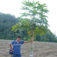 Ciro Ebenezer Barrera Rojas