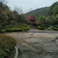 唐海波