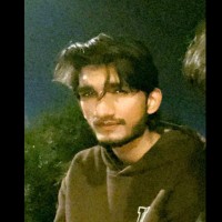Ali Rizvi
