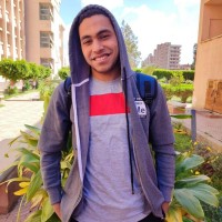 Abdelrahman Gamal