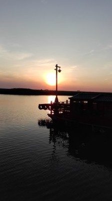 刘朝霞