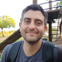 Luis Henrique Margarisi