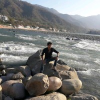 Kashish Pandey