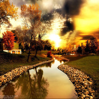 Taghrid Hejazy