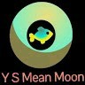 Y S Mean Moon