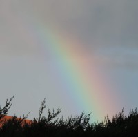 Gueule D'Ange