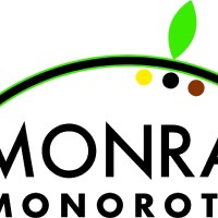 MONRAIL MONOROTAIA