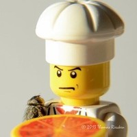 CeZaccr Hospitality Jobs