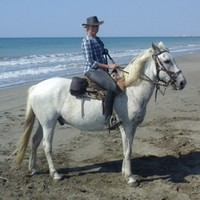 SPIGARELLI Dominique