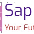 saptraining indelhi