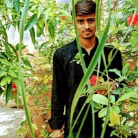mahesh bhalala