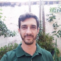 Jorge Neto