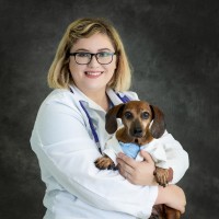 Kate Webb, Dvm, Mph, Gradcert (Biodefense)