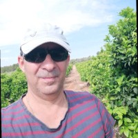 Antonio Sarrión Aparicio