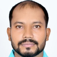 Probir Kumar Roy
