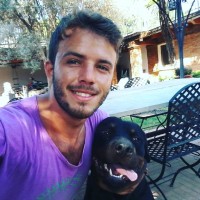 Davide Argeri