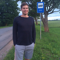 Arturs Lazdins