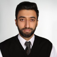 Mohsen H. Alizadeh