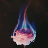 Amir Hossein Saharkhiz