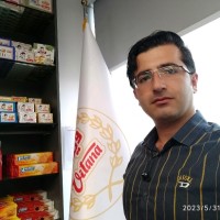 Mojtaba Shafei Keleshtary