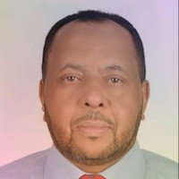 Dr.Ibrahim El Desogy Ali
