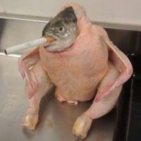 Harry Stingdove