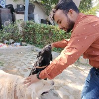 Mayank Kumar