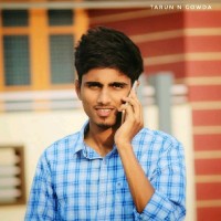 Tarun N