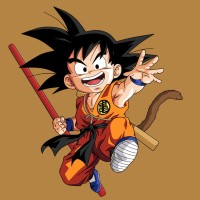 Wen Long Lin